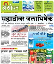 Sakal Agrowon Ad Rate Card Nagpur